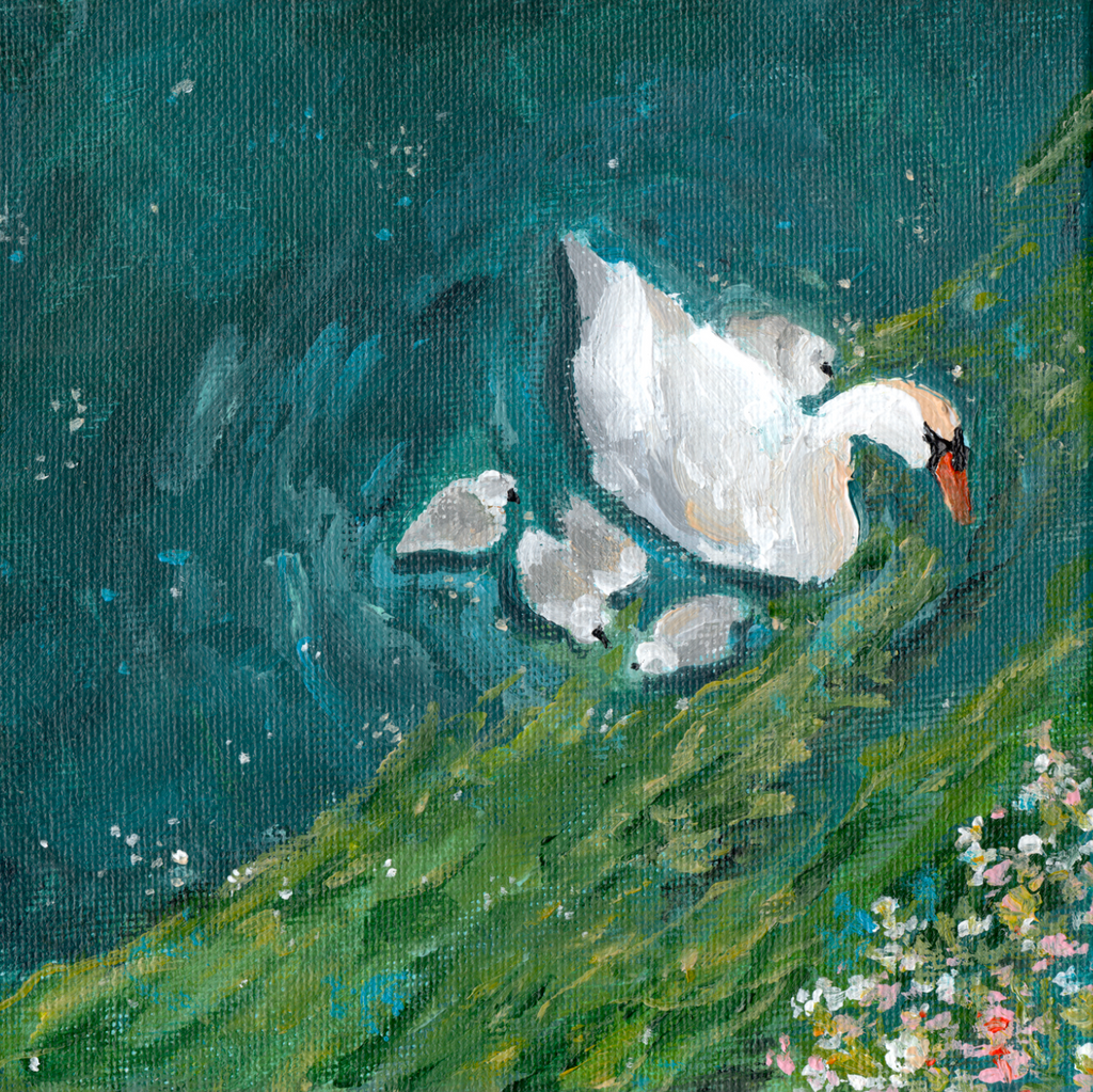 (INT)August Mail Club 2026 Issue No.2 "A place to rest"