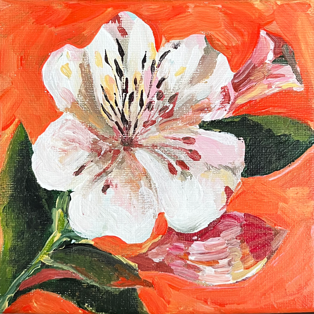 until bloom